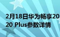 2月18日华为畅享20 Plus配置参数 华为畅享20 Plus参数详情