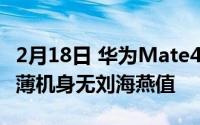 2月18日 华为Mate40Pro全新概念图爆料 超薄机身无刘海燕值