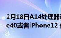 2月18日A14处理器遇到麒麟9000 华为Mate40或者iPhone12 你选谁？