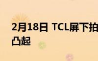 2月18日 TCL屏下拍照手机曝光 背部设计有凸起