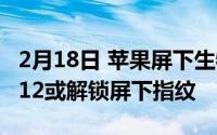 2月18日 苹果屏下生物识别技术曝光 iPhone12或解锁屏下指纹