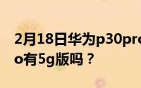 2月18日华为p30pro能用5g吗？华为p30pro有5g版吗？