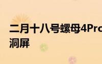 二月十八号螺母4Pro参数: 骁龙865带前置挖洞屏