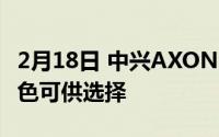 2月18日 中兴AXON 20配色官方公布:四种颜色可供选择