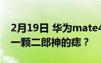 2月19日 华为mate40外观疑似曝光 网友:有一颗二郎神的痣？