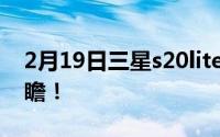 2月19日三星s20lite大曝光:参数配置价格前瞻！