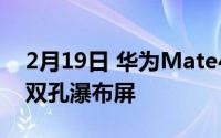 2月19日 华为Mate40 Pro屏幕曝光:大曲率双孔瀑布屏