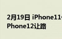 2月19日 iPhone11价格现已降至冰点 或为iPhone12让路