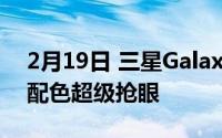 2月19日 三星Galaxy20FE渲染图曝光 多项配色超级抢眼