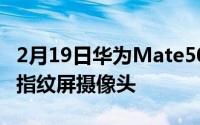 2月19日华为Mate50最新消息 或将采用全屏指纹屏摄像头