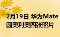 2月19日 华为Mate 40 Pro后置摄像头曝光:圆奥利奥四张照片