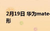 2月19日 华为mate40摄像头:由圆形变为方形