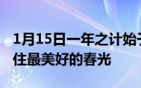 1月15日一年之计始于春如何用活跃的色彩留住最美好的春光