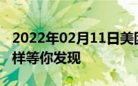 2022年02月11日美团闪购上架美团更多新花样等你发现