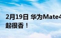 2月19日 华为Mate40 Pro价格曝光 5999元起很香！