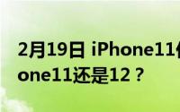 2月19日 iPhone11价格急速下降 你选择iPhone11还是12？