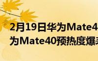 2月19日华为Mate40系列可以线下预约？华为Mate40预热度爆表