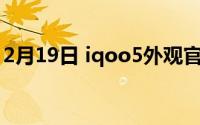 2月19日 iqoo5外观官方公布:设计全新升级！