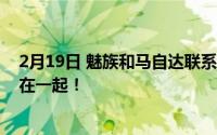 2月19日 魅族和马自达联系在一起 网友:真的做梦都想联系在一起！