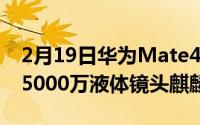 2月19日华为Mate40详细参数 90Hz瀑布屏5000万液体镜头麒麟9000