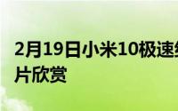 2月19日小米10极速纪念版透明版真机实拍图片欣赏