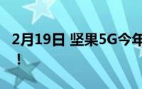 2月19日 坚果5G今年新机发布 官方正面回应！