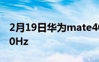 2月19日华为mate40X参数曝光:678英寸120Hz