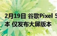 2月19日 谷歌Pixel 5 :最新消息将取消小屏版本 仅发布大屏版本