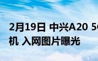 2月19日 中兴A20 5G首款带屏下摄像头的手机 入网图片曝光