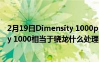 2月19日Dimensity 1000plus和骁龙865哪个好 Dimensity 1000相当于骁龙什么处理器？