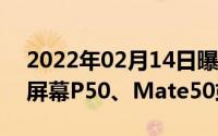 2022年02月14日曝华为Mate40采用90Hz屏幕P50、Mate50或有120Hz