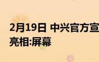 2月19日 中兴官方宣布相机智能手机A20 5G亮相:屏幕