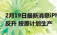 2月19日最新消息iPhone12手机:出货量不降反升 按原计划生产