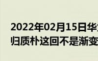 2022年02月15日华为P30Pro新配色曝光回归质朴这回不是渐变色了