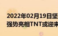 2022年02月19日坚果手机2020旗舰新品将强势亮相TNT或迎来更新