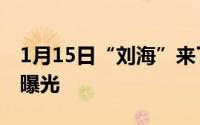 1月15日“刘海”来了！华为P20Lite证件照曝光