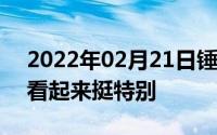 2022年02月21日锤子T3被曝将采用刘海屏看起来挺特别