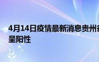 4月14日疫情最新消息贵州瓮安通报一批进口大米核酸检测呈阳性