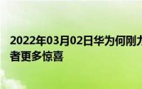 2022年03月02日华为何刚力挺荣耀9X系列旗舰配置给消费者更多惊喜