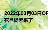 2022年03月03日OPPO新代言人亮相人气小花旦杨紫来了