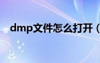 dmp文件怎么打开（dmp文件打开方法）