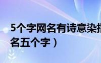 5个字网名有诗意染指年华（唯美古风诗意网名五个字）