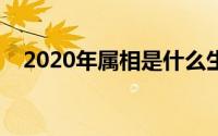 2020年属相是什么生肖（十二生肖介绍）