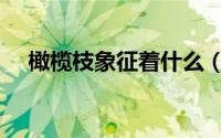 橄榄枝象征着什么（橄榄枝寓意是什么）