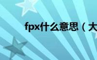 fpx什么意思（大多男生都知道它）