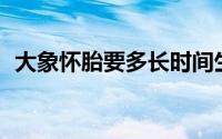 大象怀胎要多长时间生（大象怀胎33个月）