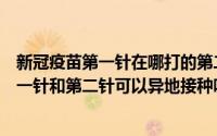 新冠疫苗第一针在哪打的第二针也要在哪打吗（新冠疫苗第一针和第二针可以异地接种吗）