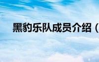 黑豹乐队成员介绍（黑豹乐队成员简介）