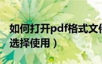 如何打开pdf格式文件（两种打开方法供大家选择使用）