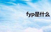 fyp是什么（fyp简介）